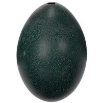 Artikel Emuei-decoraties voor feestelijke huisdecoratie en stijlvolle accenten voor Pasen.