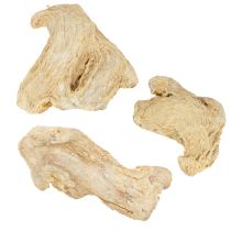 Artikel Gedroogde Gember Decoratie Natuurlijke Decoratie 500g