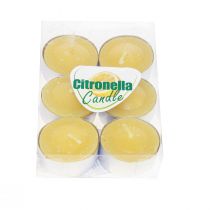 Artikel Geurkaars citronella kaars, citronella theelichtjes Ø3.5cm H1.5cm 6 stuks