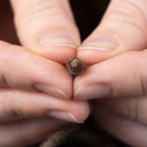 Artikel Vlechtkoord, wollen koord, bruin, 55 meter decoratief koord voor bloemschikken en knutselen