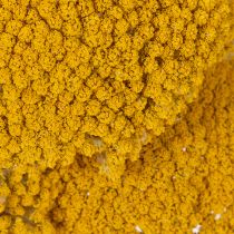 Artikel Achillea Natur Gelb Duizendblad Gedroogde Bloemen Geel 1kg
