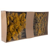 Artikel Achillea Natur Gelb Duizendblad Gedroogde Bloemen Geel 1kg