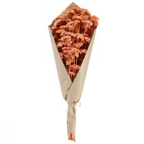 Artikel Achillea duizendblad gedroogde weidebloemen zalm 40-50cm 80g
