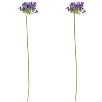 Artikel Agapanthus kunstbloemen paarse decoratie lelies 75cm 2 stuks