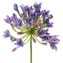Artikel Agapanthus Afrikaanse Lelie Kunstbloemen Paars L75cm 2st