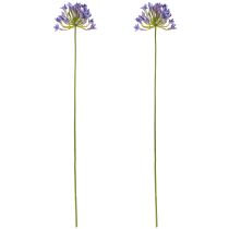 Artikel Agapanthus Afrikaanse Lelie Kunstbloemen Paars L75cm 2st