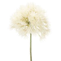 Artikel Kunstbloem van het geslacht Allium, verfijnd ontwerp voor binnengebruik, 68 cm