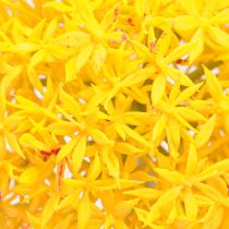 Artikel Allium Gele Bloem Kunstui 80cm Ø14,5cm 2st