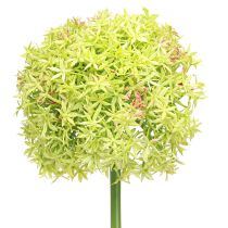 Artikel Allium groene bloem kunst sierui Ø18cm 90cm