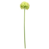 Artikel Allium groene bloem kunst sierui Ø18cm 90cm