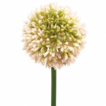 Artikel Sier allium kunstroze / groen Ø8cm 58cm