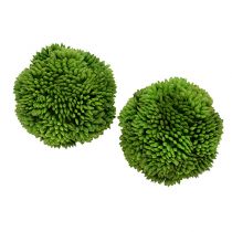 Alliumbal 5cm groen 4st