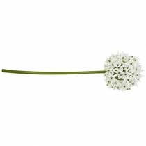 Artikel Sierbloem Allium, kunstbal prei, sierui wit Ø20cm L72cm