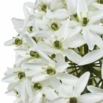 Artikel Sierbloem Allium, kunstbal prei, sierui wit Ø20cm L72cm