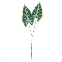 Artikel Alocasia Olifant Oorpijl Blad Kunstplanten Groen 55cm