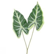 Artikel Alocasia Olifant Oorpijl Blad Kunstplanten Groen 55cm