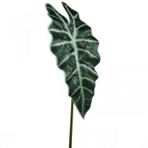 Artikel Kunstpijlenblad kunstplant alocasia deco groen 74cm