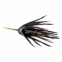 Artikel Aloë Vera kunst paars 26cm