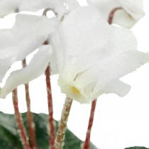 Cyclamen in creme 28cm