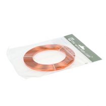 Artikel Aluminium plat draad, oranje, 5mm, 10m, hobbydraad, decoratie