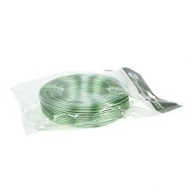 Artikel Aluminiumdraad 2mm 500g, 60m mintgroen - hobbydraad voor decoratie, bloemsierkunst en modelbouw
