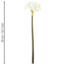 Artikel Kunstmatige amaryllisbloem, wit, met steel, advent en kerst, 50 cm