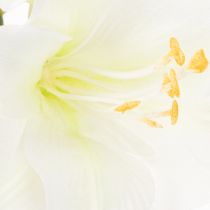 Artikel Kunstmatige amaryllisbloem, wit, met steel, advent en kerst, 50 cm