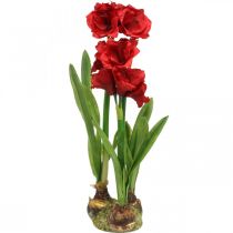 Amaryllis kunst rood 3 zijden bloemen op mosballen H64cm