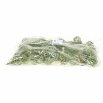 Artikel Sweetgum kegels groen mat 250g
