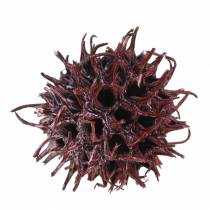 Artikel Amberboomhoorntjes rood gematteerd 250g