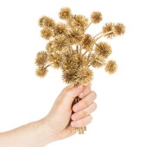 Artikel Kunstmatige barnsteenfruitboomtak, gouden versiering, 26 cm, bundel van 6
