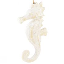 Artikel Hanger zeepaardje decoratie wit, maritieme decoratie H23cm