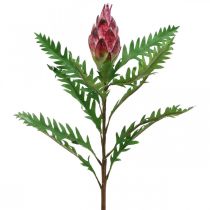 Artikel Artisjok Artisjok Roze Kunstplanten Deco Herfst H68cm