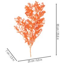 Artikel Gedroogde aspergebloemen, tak, sierasperge, geverfd, 65 cm, 80 g
