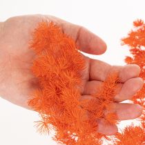 Artikel Gedroogde aspergebloemen, tak, sierasperge, geverfd, 65 cm, 80 g