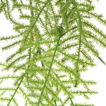 Artikel Kunstmatige asperges als hangplant voor een onderhoudsarme huisdecoratie, 75 cm