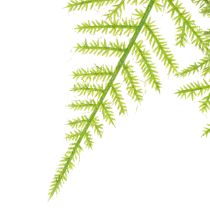 Artikel Kunstmatige asperges als hangplant voor een onderhoudsarme huisdecoratie, 75 cm