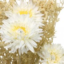 Artikel Kunstboeket van asters en gipskruid in beige en wit, perfect voor bruiloftsdecoraties en herfstarrangementen, 43 cm
