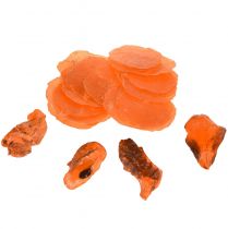 Artikel Oestermosselen capiz plakjes in net oranje 3,5–9,5cm 2st