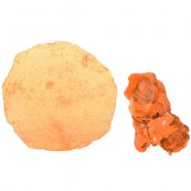 Artikel Oestermosselen capiz plakjes in net oranje 3,5–9,5cm 2st