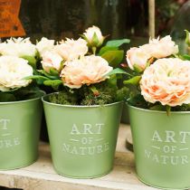 Artikel Bloempot zink mint groen Ø15cm H13.5cm
