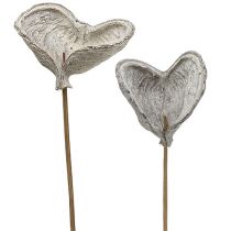 Artikel Badam op stok witgekalkt 12cm L55cm 23 st