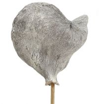 Artikel Badam op stok witgekalkt 12cm L55cm 23 st
