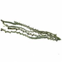 Artikel Bananenstengel Dekoast Groen, white washed 20 st