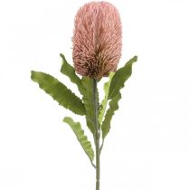 Artikel Kunstbloem Banksia roze herfstdecoratie herdenkingsbloemwerk 64cm