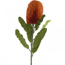 Artikel Kunstbloem Banksia Oranje Herfstdecoratie Begrafenisbloemen 64cm