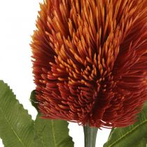 Artikel Kunstbloem Banksia Oranje Herfstdecoratie Begrafenisbloemen 64cm