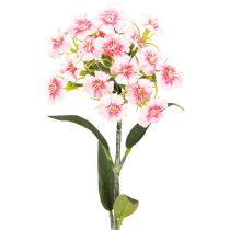 Artikel Baardanjer kunstanjer Perzik Roze 52cm