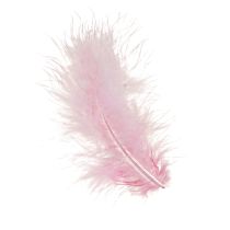 Artikel Knutselveren roze vogelveren lente Pasen 5-10cm 20g