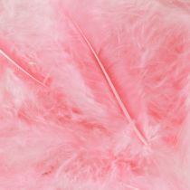 Artikel Knutselveren roze vogelveren lente Pasen 5-10cm 20g